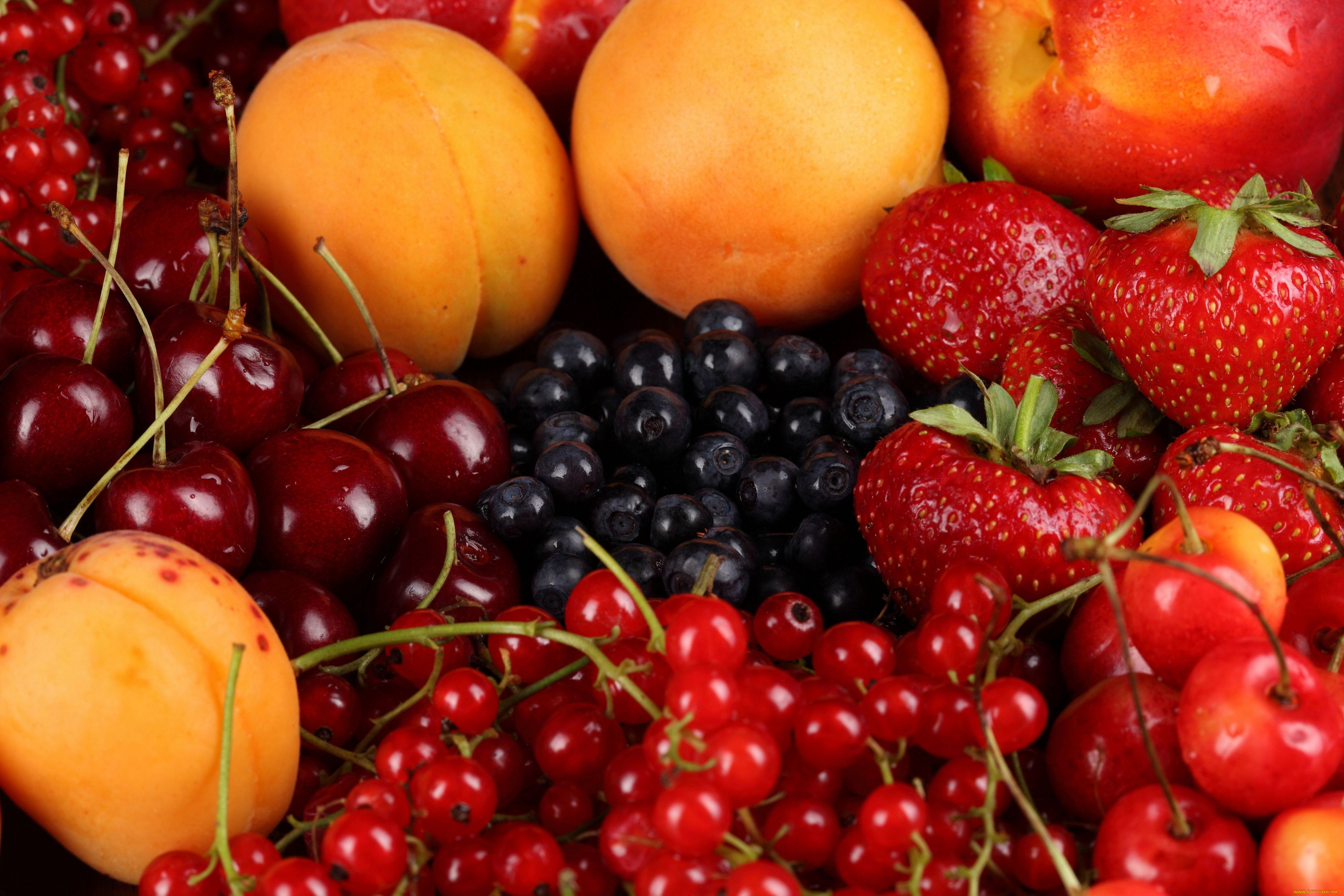 Фруктовый пост. Фрукты и ягоды. Овощи, фрукты, ягоды. Плодово-ягодные культуры. Красивые ягоды.
